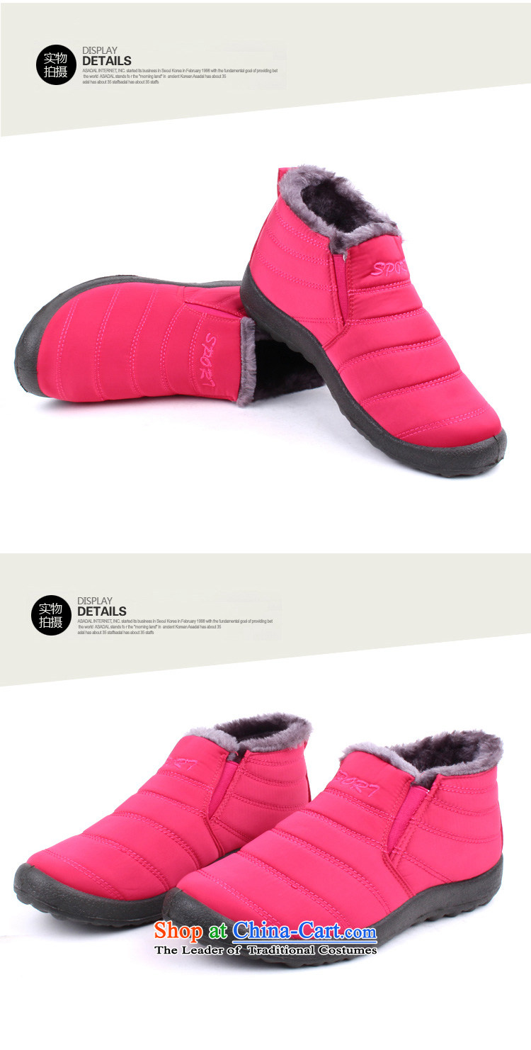 2015 WINTER new simple and comfortable warm, cotton shoes-plus-flat shoe-to-day Leisure Old Beijing mesh upper pedalling with one foot walks shoes and short C09 Turbomolecular Pumps Red C09 Turbomolecular Pumps 39 pictures, prices, brand platters! The elections are supplied in the national character of distribution, so action, buy now enjoy more preferential! As soon as possible.