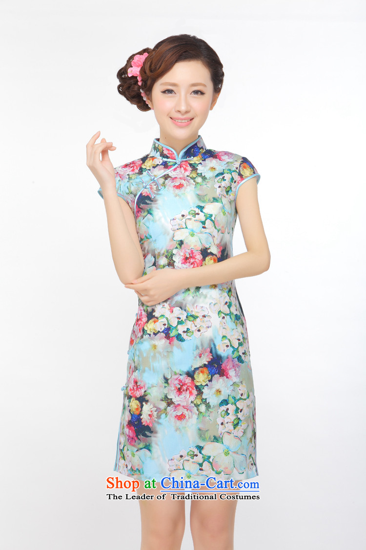 The former Yugoslavia Li know the carpet of the new summer 2015 improved low on sepia elegant qipao lady's skirt QW45B113 picture color pictures, prices, XL brand platters! The elections are supplied in the national character of distribution, so action, buy now enjoy more preferential! As soon as possible.