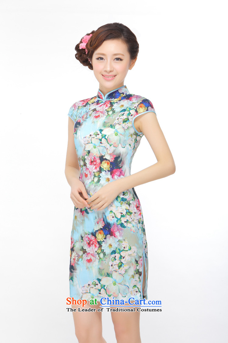 The former Yugoslavia Li know the carpet of the new summer 2015 improved low on sepia elegant qipao lady's skirt QW45B113 picture color pictures, prices, XL brand platters! The elections are supplied in the national character of distribution, so action, buy now enjoy more preferential! As soon as possible.