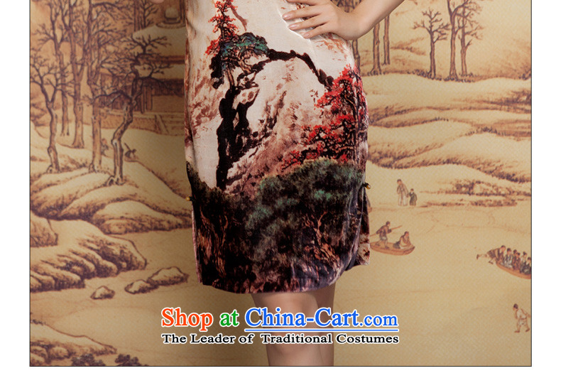 Winter dresses wood really 2015 New Ink Painting scouring pads, qipao 21882 Sau San short 09 coffee-colored pictures, prices, XXL brand platters! The elections are supplied in the national character of distribution, so action, buy now enjoy more preferential! As soon as possible.