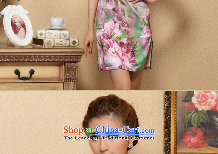 Dan smoke cheongsam dress Tang Dynasty Chinese collar Silk Cheongsam noble stylish herbs extract qipao gown cheongsam 995# banquet L picture, prices, brand platters! The elections are supplied in the national character of distribution, so action, buy now enjoy more preferential! As soon as possible.