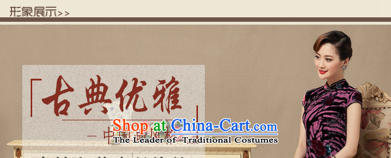 The seal of the Summer 2015 Ms. new short cheongsam silk cheongsam dress burned lint-free daily dinner dress photo improved color pictures, prices, S brand platters! The elections are supplied in the national character of distribution, so action, buy now enjoy more preferential! As soon as possible.