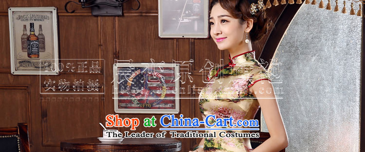 Morning new qipao land 2015 summer short of improvement and Stylish retro sauna Silk Cheongsam Hellenistic Chinese silk Suit M picture, prices, brand platters! The elections are supplied in the national character of distribution, so action, buy now enjoy more preferential! As soon as possible.