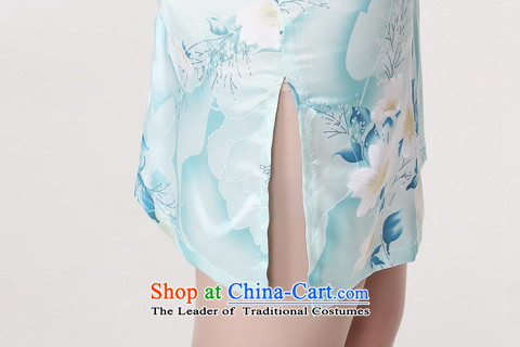 Dan smoke new cheongsam dress summer improved retro collar is pressed to hand-painted silk cheongsam dress short Chinese improvement of light blue 2XL Photo, prices, brand platters! The elections are supplied in the national character of distribution, so action, buy now enjoy more preferential! As soon as possible.