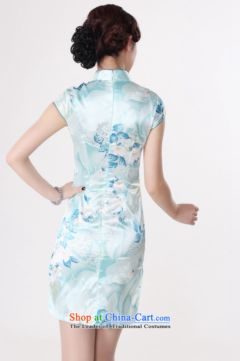 Dan smoke new cheongsam dress summer improved retro collar is pressed to hand-painted silk cheongsam dress short Chinese improvement of light blue 2XL Photo, prices, brand platters! The elections are supplied in the national character of distribution, so action, buy now enjoy more preferential! As soon as possible.