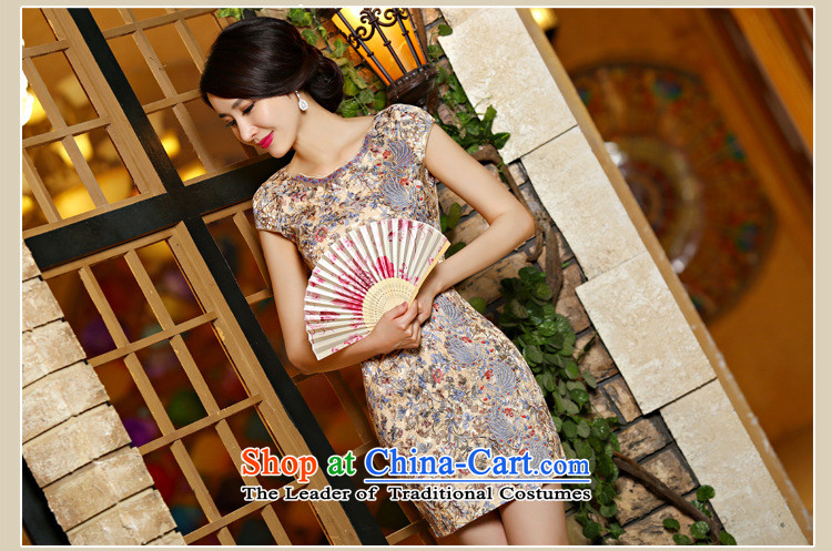 Take concubines and family new lace cheongsam dress Sau San video thin dresses and stylish girl C321D901880 SUIT XL Photo, prices, brand platters! The elections are supplied in the national character of distribution, so action, buy now enjoy more preferential! As soon as possible.