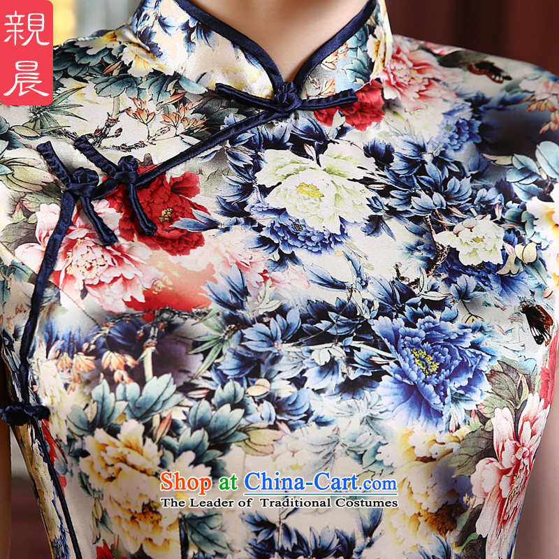The new 2015 pro-morning daily fashion improved long silk retro upscale herbs extract Sau San cheongsam dress long M, PRO-AM , , , shopping on the Internet