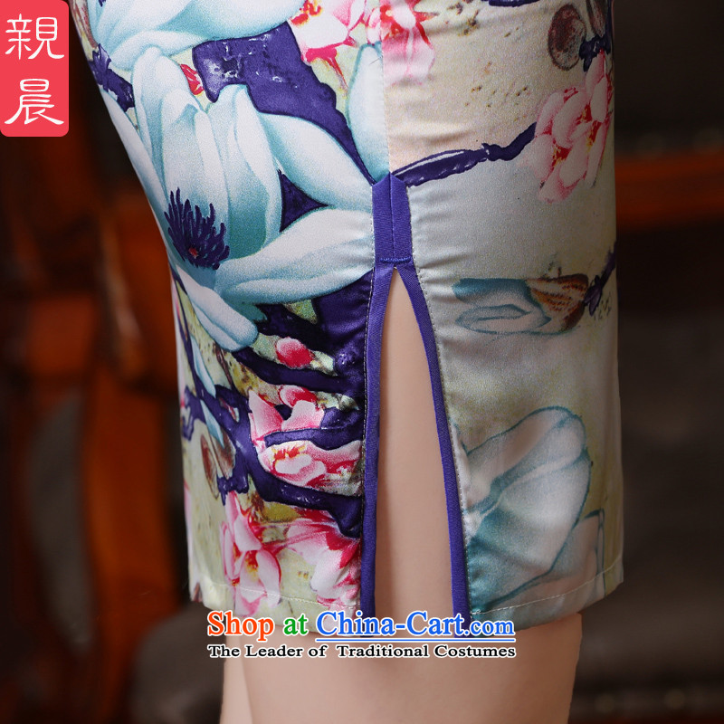 The pro-am new improved cheongsam dress short of 2015 summer daily maximum code, Sepia Sau San cheongsam dress short, M, PRO-AM , , , shopping on the Internet