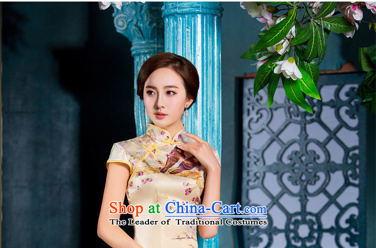 Time the new 2015 Syria cheongsam dress stylish boardroom executives figure improved cheongsam dress with stylish Sau San large autumn code picture color S picture, prices, brand platters! The elections are supplied in the national character of distribution, so action, buy now enjoy more preferential! As soon as possible.