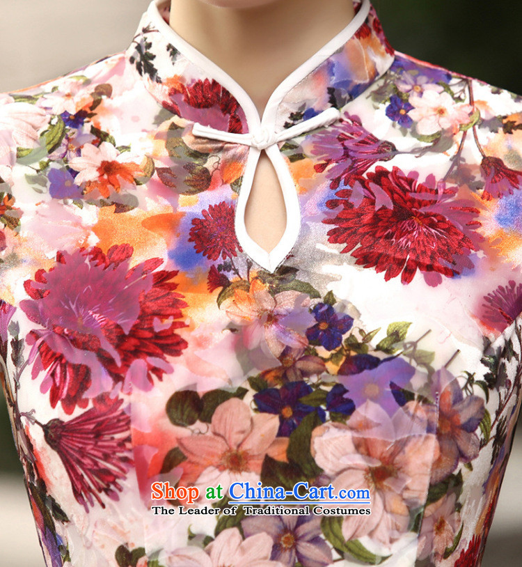 In the new kit, spring and autumn female decorated in a mock-neck really improved long qipao velvet dresses T0004-a black XXL picture, prices, brand platters! The elections are supplied in the national character of distribution, so action, buy now enjoy more preferential! As soon as possible.