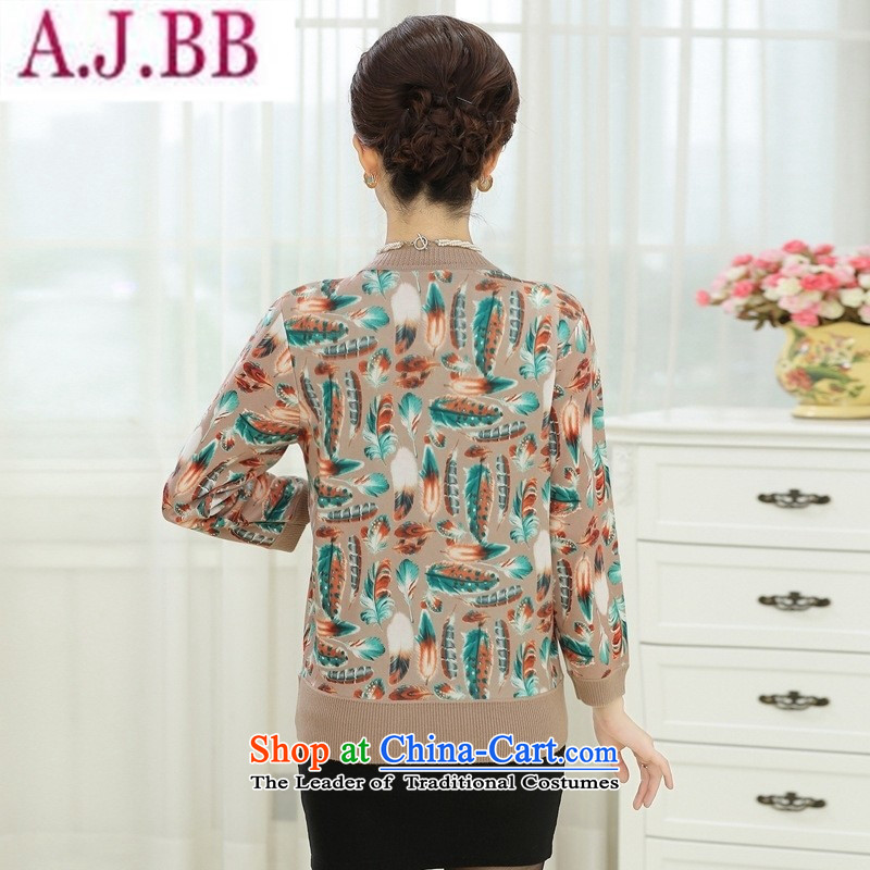 The Secretary for Health concerns of older women shop * replacing autumn boxed long-sleeved Knitted Shirt loose large older people with middle-aged mother leave two woolen sweater and color feather XL, and involved (rvie.) , , , shopping on the Internet