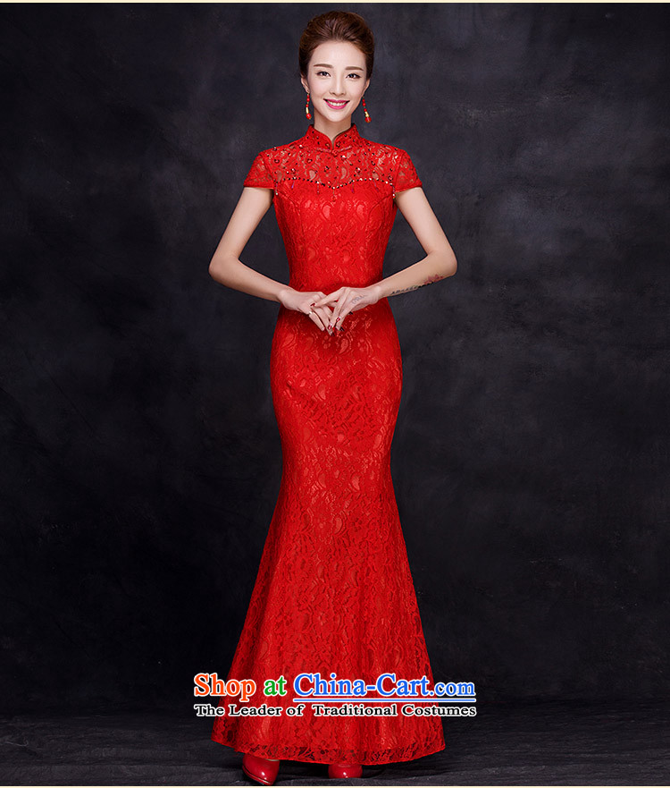 Toasting champagne served collar evening dresses long seven-sleeved bride wedding dress lace cheongsam dress female autumn and winter, large red - Winter M picture, prices, brand platters! The elections are supplied in the national character of distribution, so action, buy now enjoy more preferential! As soon as possible.