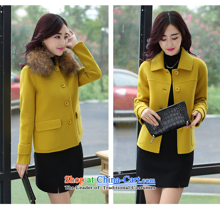 2015 Fall/Winter Collections new Korean women's gross so Sau San Jacket coat shirt short of the amount for a wool coat grass WONG L picture, prices, brand platters! The elections are supplied in the national character of distribution, so action, buy now enjoy more preferential! As soon as possible.