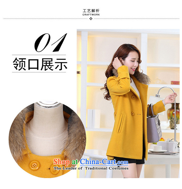 The land of  autumn and winter 2015 Women's new Korean version of a Korean version of gross? jacket coat Women? 