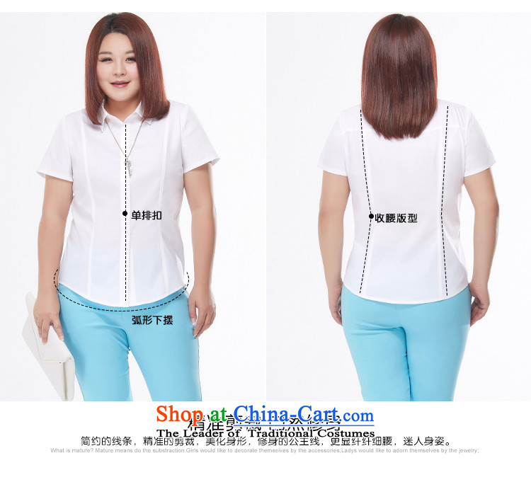 Msshe xl women 2015 autumn the new SISTER OL long-sleeved video thick thin flip t-shirts/blouses 7347 white long-sleeved 3XL picture, prices, brand platters! The elections are supplied in the national character of distribution, so action, buy now enjoy more preferential! As soon as possible.