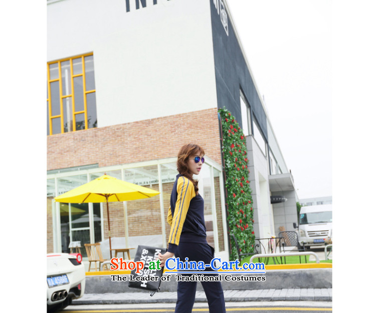 Optimize for a women's XL 2014 mm thick with Korean autumn new stitching-rotator cuff sweater large gray XXXL kit picture, prices, brand platters! The elections are supplied in the national character of distribution, so action, buy now enjoy more preferential! As soon as possible.