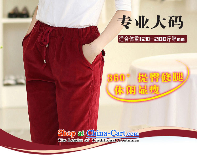 Tysan thick mm2015 Gwi-Spring New extra female corduroy trousers loose video thin little leisure xl leisure pants A180 Red XL Photo, prices, brand platters! The elections are supplied in the national character of distribution, so action, buy now enjoy more preferential! As soon as possible.