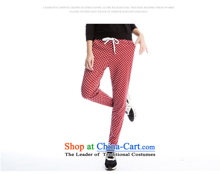The lymalon lehmann autumn 2015 the new Korean version of large numbers of ladies in the streets of the Harlan wave point cotton trousers k812 forming the blue dot XXXL picture, prices, brand platters! The elections are supplied in the national character of distribution, so action, buy now enjoy more preferential! As soon as possible.