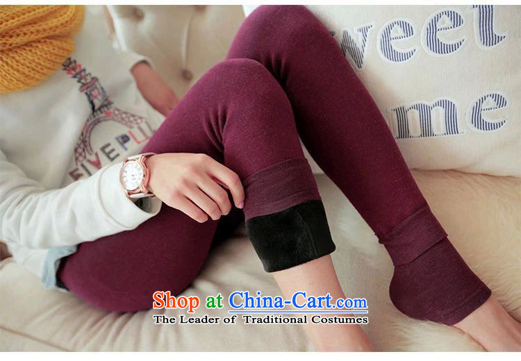 400g 7 thick colorful cotton pants, forming the basis for larger 200 catties Fall/Winter Collections mink lint-free Korean girl pants high fat waist mm depress foot trousers socks to intensify the new flash Kim black XF larger holdings (100-200) pictures, price catty, brand platters! The elections are supplied in the national character of distribution, so action, buy now enjoy more preferential! As soon as possible.