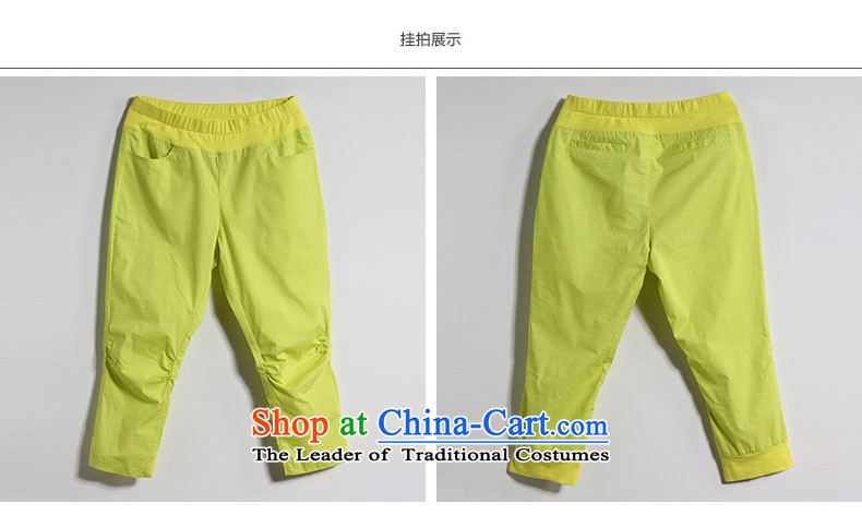 In the summer of 2015, the representative of the water inside the new mid-high elastic waist high large leisure Capri pants S15XL5146 female watermelon RED M picture, prices, brand platters! The elections are supplied in the national character of distribution, so action, buy now enjoy more preferential! As soon as possible.