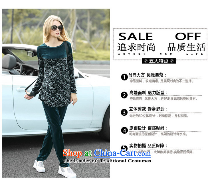 Morning to 2015 autumn and winter new larger female Korean lint-free sports suits thick MM loose video thin leopard stitching two kits blue 2XL recommendations 130-140 catty picture, prices, brand platters! The elections are supplied in the national character of distribution, so action, buy now enjoy more preferential! As soon as possible.