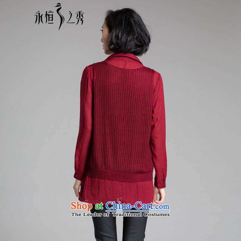 The Eternal-soo to xl female shirt two kits for autumn and winter 2015 new products thick mm sister autumn graphics thin Korean clothes, Hin thin, thick shirt chestnut horses 2XL, eternal Soo , , , shopping on the Internet