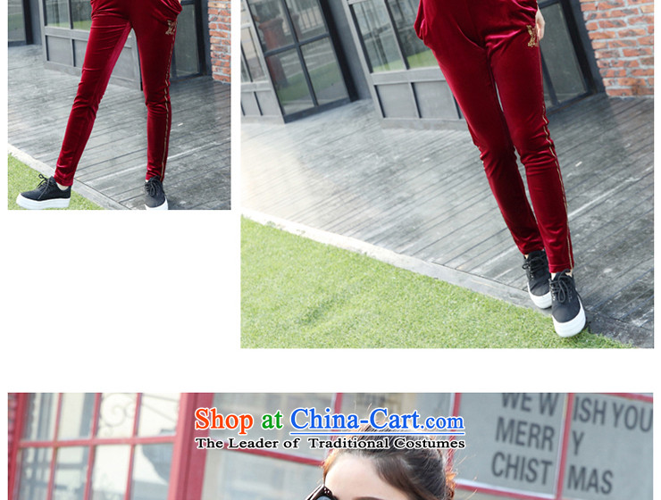 Tony Blair, the autumn 2015 New Product Version Korea women's long sleeve loose Harun trousers Sports & Leisure Package Gray L picture, prices, brand platters! The elections are supplied in the national character of distribution, so action, buy now enjoy more preferential! As soon as possible.