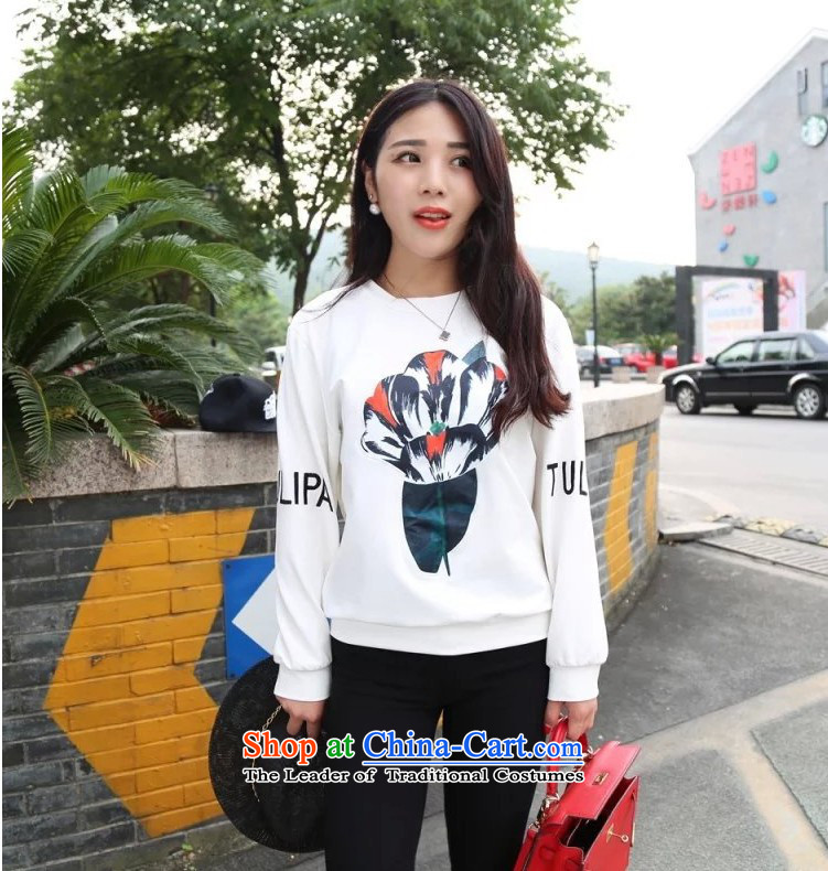 Elizabeth sub-to increase women's code NEW SHIRT autumn sweater 200 MM thick Korean catty Fall/Winter Collections embroidery stylish suite and Pure cotton T-shirt sweater 365 Black XXL picture, prices, brand platters! The elections are supplied in the national character of distribution, so action, buy now enjoy more preferential! As soon as possible.