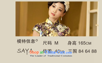 【 Yat lady health healthy dance new summer temperament qipao gown and stylish modern improved retro qipao suit 2XL Photo, prices, brand platters! The elections are supplied in the national character of distribution, so action, buy now enjoy more preferential! As soon as possible.