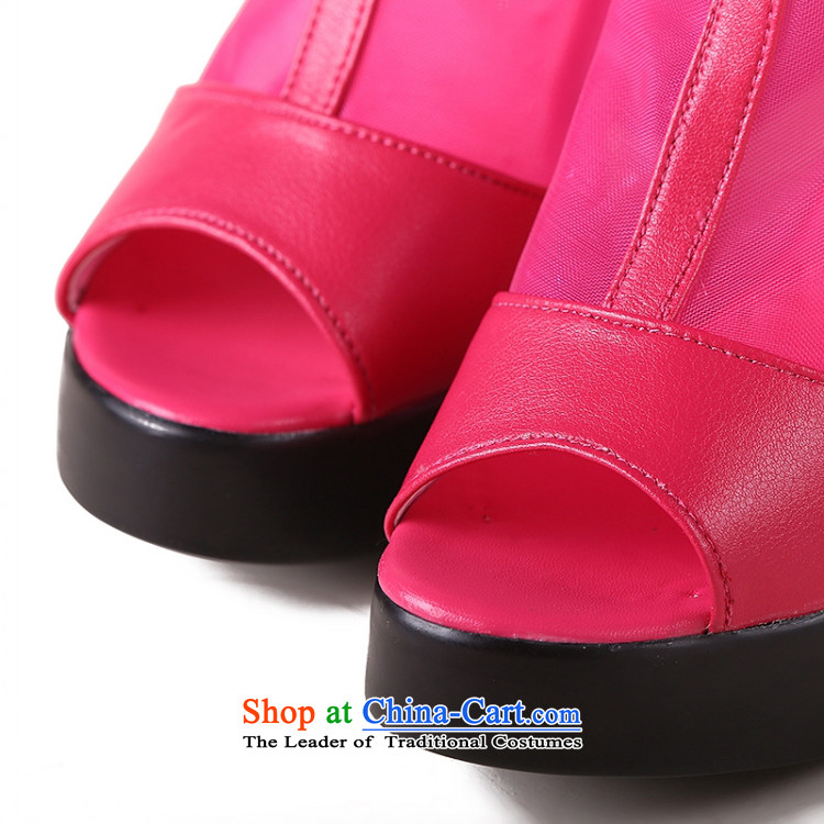 Lisa Philip Yung autumn 2014 new women's shoe high state boots with high network rough shoes female marriage shoes, model shoes are red 36 yards 7890F 8 centimeters high picture, prices, brand platters! The elections are supplied in the national character of distribution, so action, buy now enjoy more preferential! As soon as possible.