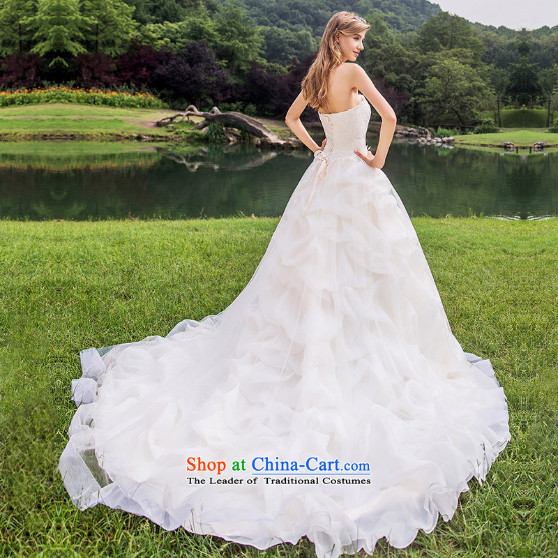 A Bride 2015 English Original Design Palace wedding small trailing wiping the chest light champagne 892 shallow champagne made 25 Day Shipping, a bride shopping on the Internet has been pressed.