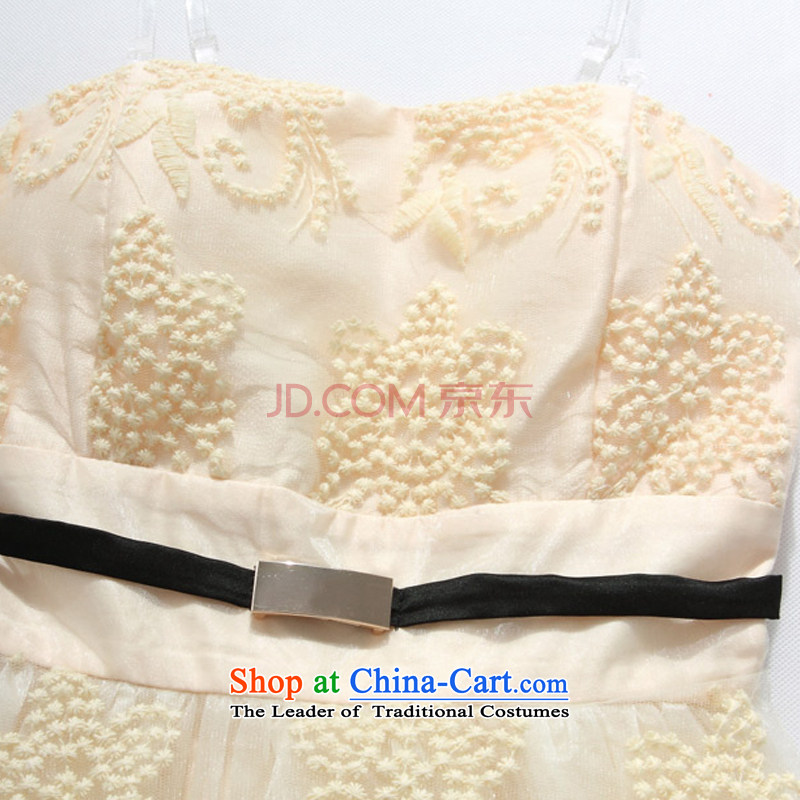 Hiv has been qi embroidery lace lanterns skirt anointed chest small dress sister skirt (feed) 9107A-1 stealth  XXXL, champagne color has been qi (aiyaqi hiv) , , , shopping on the Internet