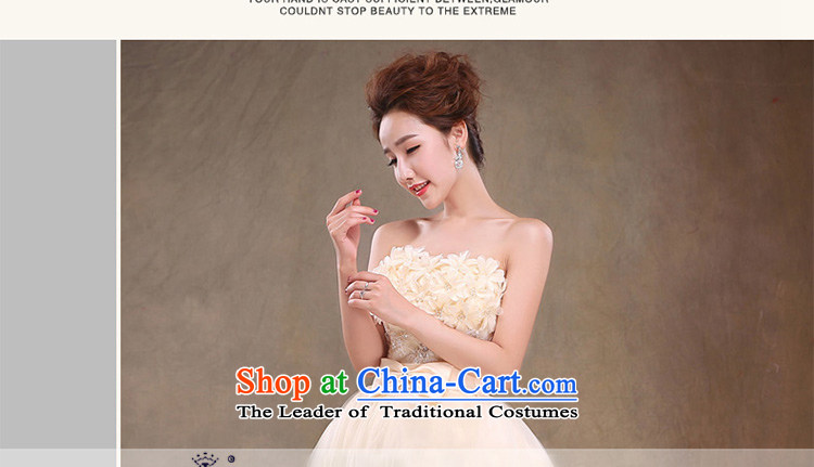 The new 2015 International Friendship bridesmaid services Korean short of the chest and dress skirt sweet drink service bride flowers champagne color to return does not support photo, prices, brand platters! The elections are supplied in the national character of distribution, so action, buy now enjoy more preferential! As soon as possible.