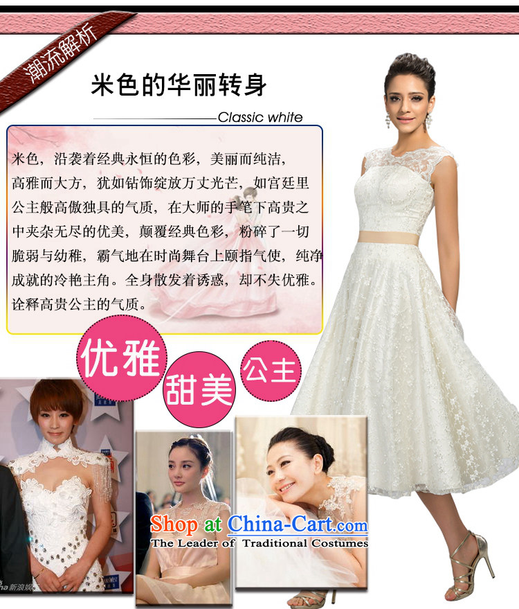 Hei Kaki 2015 New banquet dress continental shoulders evening dress coin belt under the auspices of the annual concert dress skirt  FT05 banquet beige S picture, prices, brand platters! The elections are supplied in the national character of distribution, so action, buy now enjoy more preferential! As soon as possible.