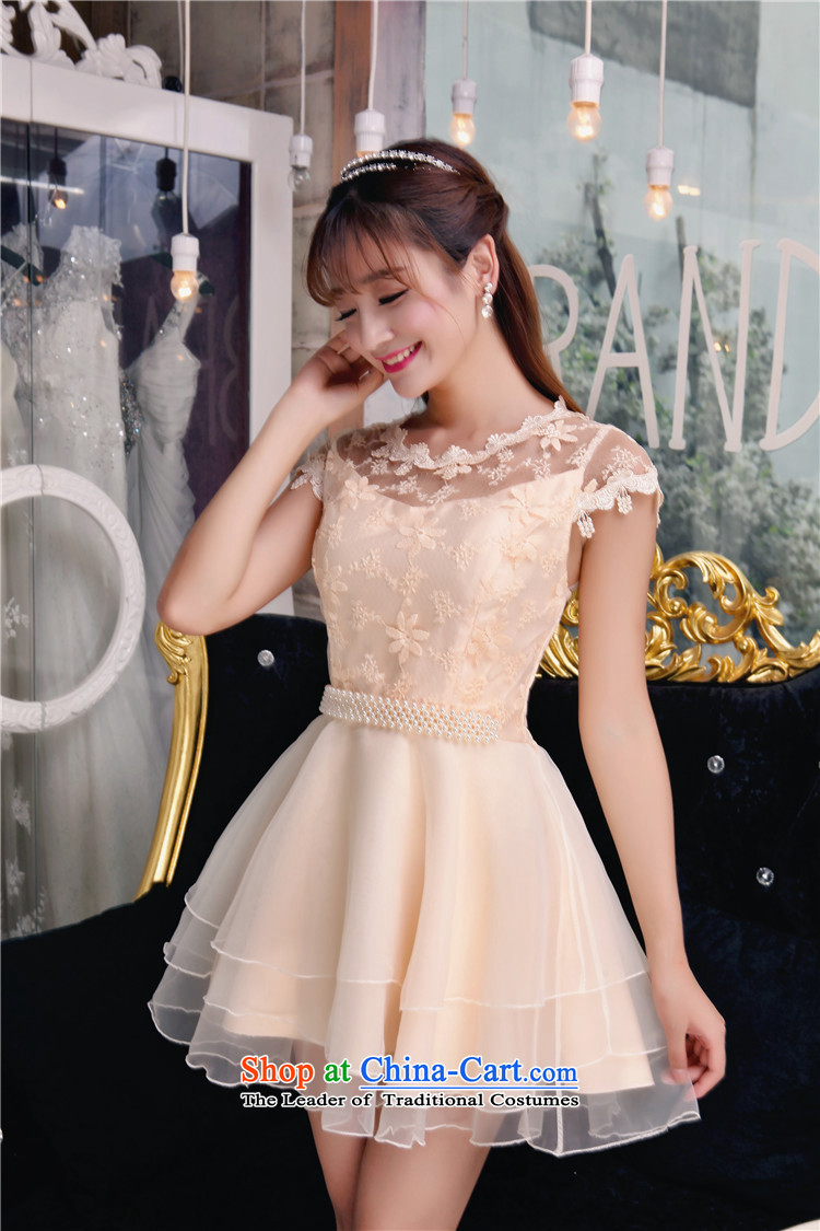 Ya Yun Lin autumn 2015 new Korean sweet lace dresses and sexy beauty dresses JM2F B156-B-001 pink M picture, prices, brand platters! The elections are supplied in the national character of distribution, so action, buy now enjoy more preferential! As soon as possible.