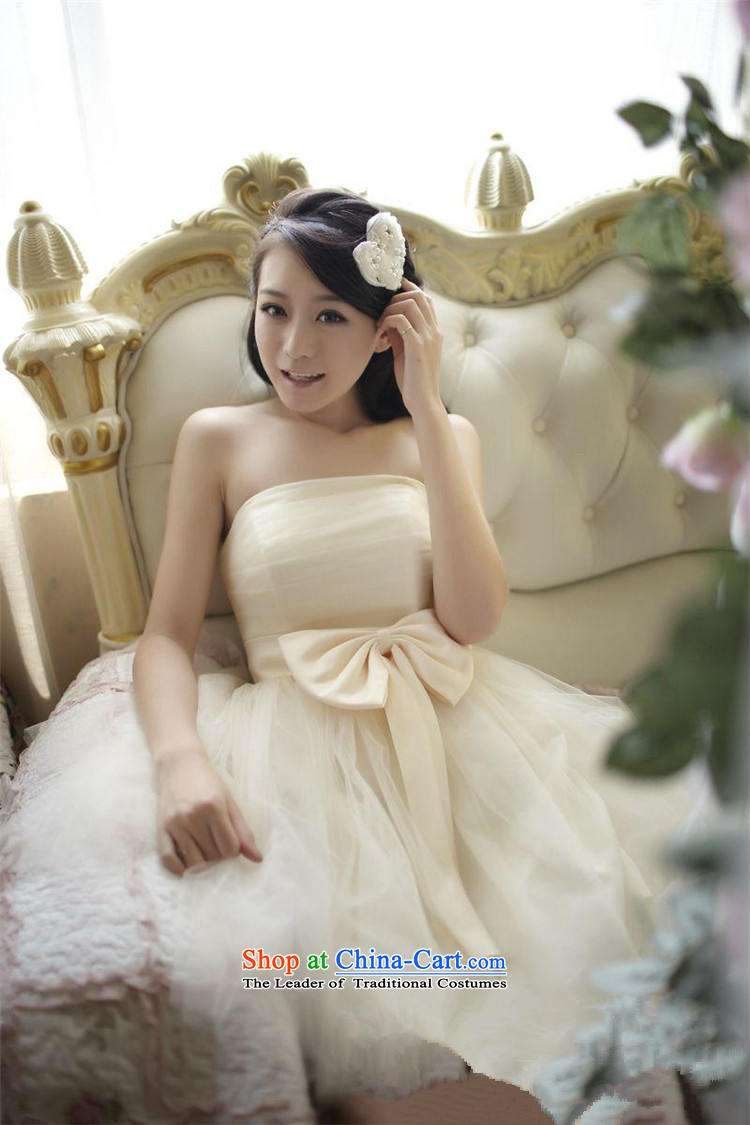      The spring and summer of 2015, stylish HUNNZ new anointed chest won sleeveless evening dress banquet bride dress bows service light champagne color pictures, prices, XXXL brand platters! The elections are supplied in the national character of distribution, so action, buy now enjoy more preferential! As soon as possible.
