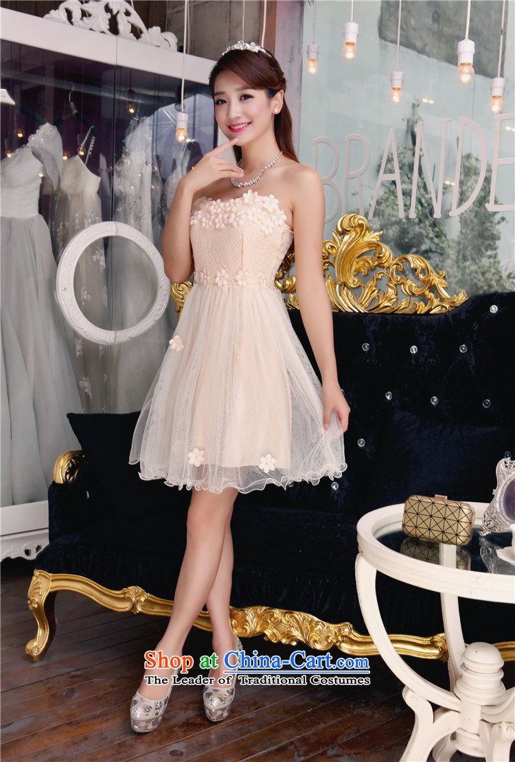 Wong Ting Nga dress dresses fall new bare shoulders lace bridesmaid service of autumn dresses pearl dress for Sau San pink L picture, prices, brand platters! The elections are supplied in the national character of distribution, so action, buy now enjoy more preferential! As soon as possible.