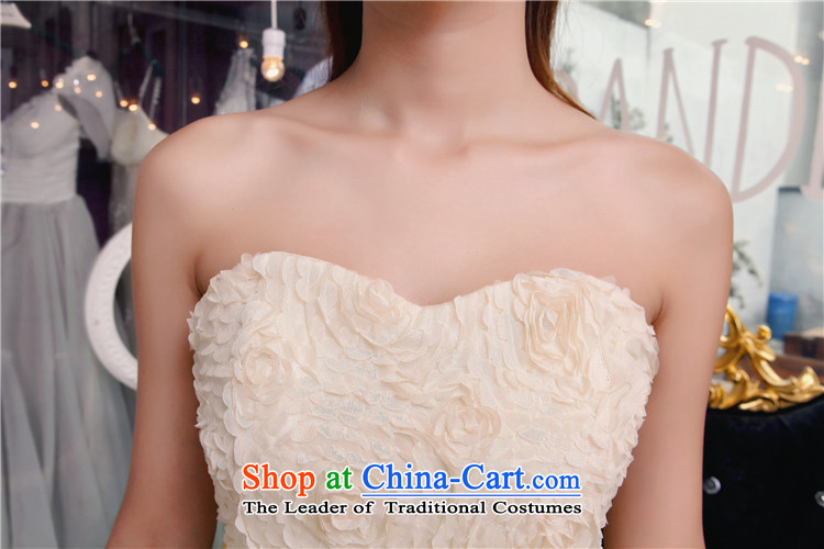 Andro ya 2015 bridesmaid sister mission dress fish people bare shoulders and stylish lace temperament Sau San booking pearl dresses apricot L photo, prices, brand platters! The elections are supplied in the national character of distribution, so action, buy now enjoy more preferential! As soon as possible.