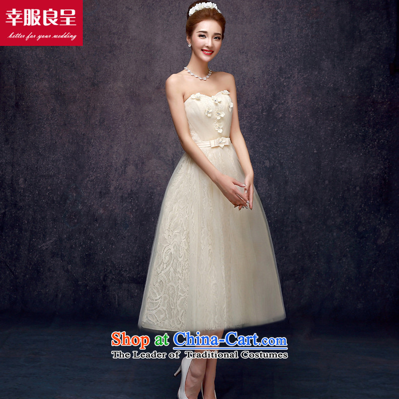 The privilege of serving the new 2015-leung Mr Ronald champagne color bridesmaid in long bridesmaid mission bridesmaids sister skirt small dress in champagne color) (F) of the long and 606 S, tail of the Chest Services-leung , , , shopping on the Internet