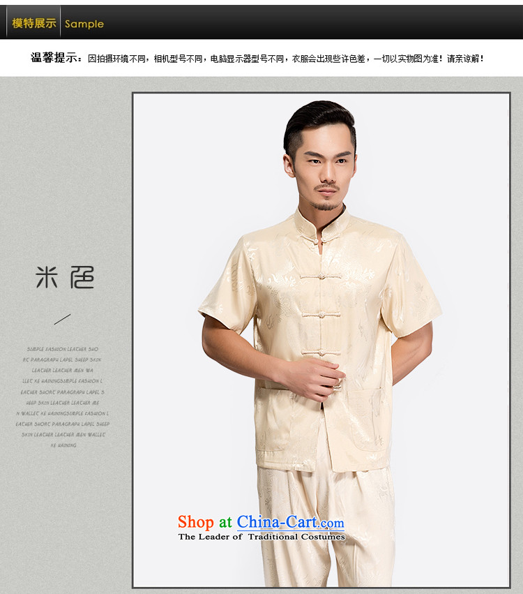 - Wolf JIEYA-WOLF, New Package Tang dynasty men's short-sleeved summer advanced silk Large Dragon pattern handcrafted disc players, white 185/XXL port picture, prices, brand platters! The elections are supplied in the national character of distribution, so action, buy now enjoy more preferential! As soon as possible.