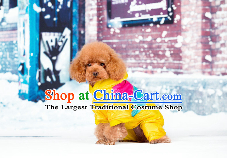 Four-Legged Dog replacing dogs clothes for autumn and winter clothing small dog pet dogs ãþòâ tedu puppies warm clothing yellow 2XL- chest 52-57cm picture, prices, brand platters! The elections are supplied in the national character of distribution, so action, buy now enjoy more preferential! As soon as possible.