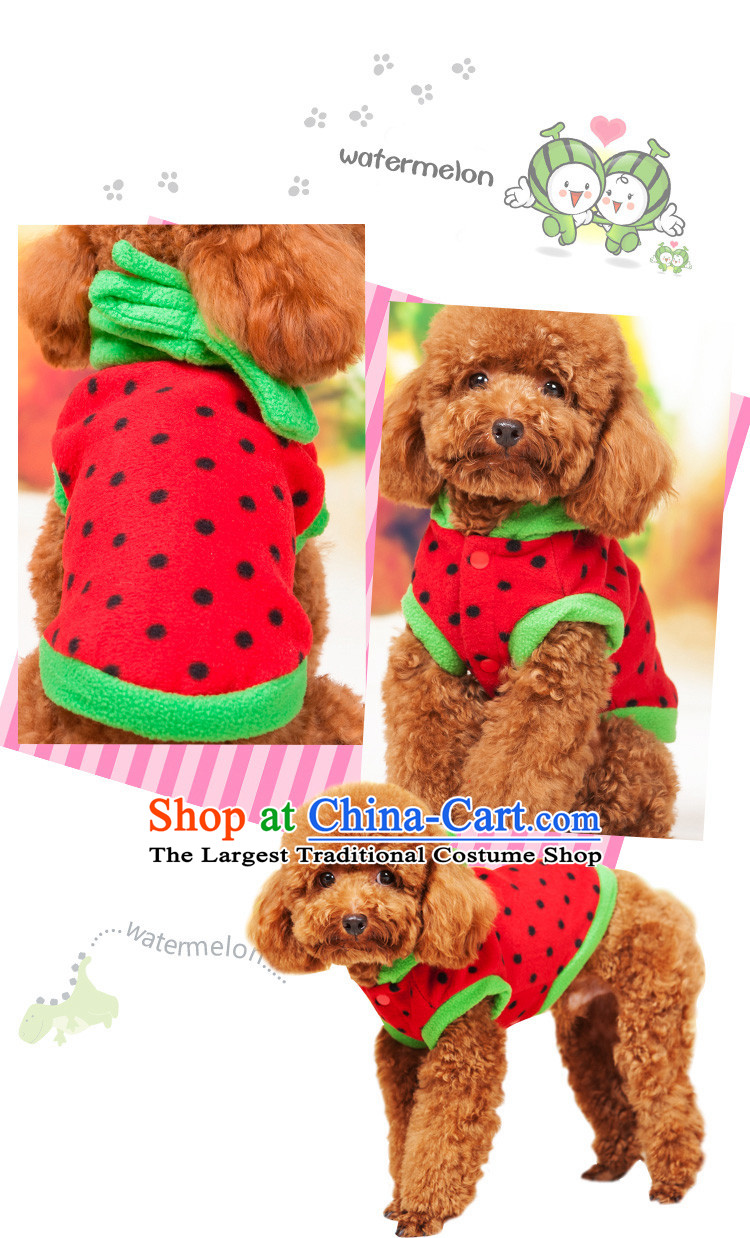 Special clearance dog clothes pet Fall/Winter Collections Chihuahuas Yorkshire Putin dogs tedu morph autumn Red M-chest 31-35cm picture, prices, brand platters! The elections are supplied in the national character of distribution, so action, buy now enjoy more preferential! As soon as possible.