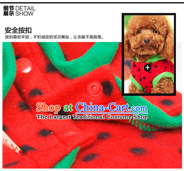 Special clearance dog clothes pet Fall/Winter Collections Chihuahuas Yorkshire Putin dogs tedu morph autumn Red M-chest 31-35cm picture, prices, brand platters! The elections are supplied in the national character of distribution, so action, buy now enjoy more preferential! As soon as possible.