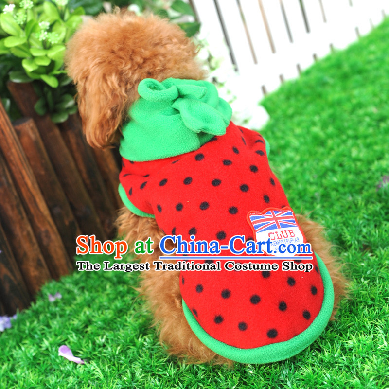Special clearance dog clothes pet Fall_Winter Collections Chihuahuas Yorkshire Putin dogs tedu morph autumn Red M_chest 31_35cm