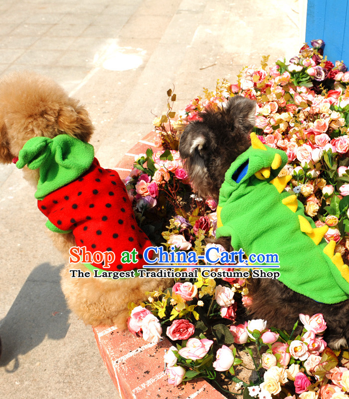 Special clearance dog clothes pet Fall/Winter Collections Chihuahuas Yorkshire Putin dogs tedu morph autumn Red M-chest 31-35cm picture, prices, brand platters! The elections are supplied in the national character of distribution, so action, buy now enjoy more preferential! As soon as possible.