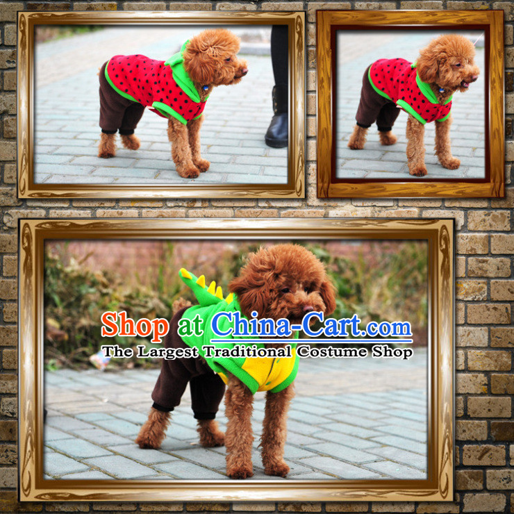 Special clearance dog clothes pet Fall/Winter Collections Chihuahuas Yorkshire Putin dogs tedu morph autumn Red M-chest 31-35cm picture, prices, brand platters! The elections are supplied in the national character of distribution, so action, buy now enjoy more preferential! As soon as possible.