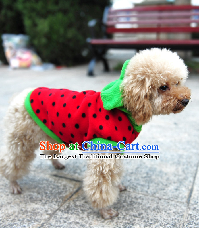 Special clearance dog clothes pet Fall/Winter Collections Chihuahuas Yorkshire Putin dogs tedu morph autumn Red M-chest 31-35cm picture, prices, brand platters! The elections are supplied in the national character of distribution, so action, buy now enjoy more preferential! As soon as possible.