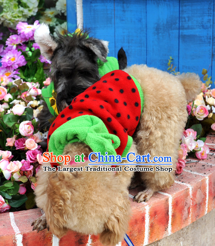 Special clearance dog clothes pet Fall/Winter Collections Chihuahuas Yorkshire Putin dogs tedu morph autumn Red M-chest 31-35cm picture, prices, brand platters! The elections are supplied in the national character of distribution, so action, buy now enjoy more preferential! As soon as possible.