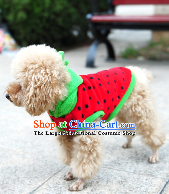 Special clearance dog clothes pet Fall/Winter Collections Chihuahuas Yorkshire Putin dogs tedu morph autumn Red M-chest 31-35cm picture, prices, brand platters! The elections are supplied in the national character of distribution, so action, buy now enjoy more preferential! As soon as possible.