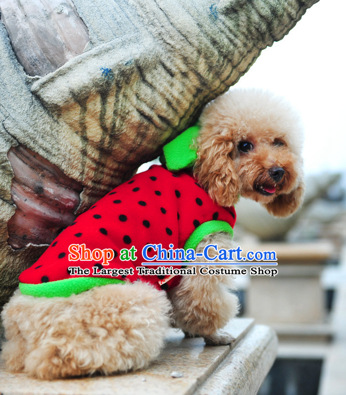 Special clearance dog clothes pet Fall/Winter Collections Chihuahuas Yorkshire Putin dogs tedu morph autumn Red M-chest 31-35cm picture, prices, brand platters! The elections are supplied in the national character of distribution, so action, buy now enjoy more preferential! As soon as possible.